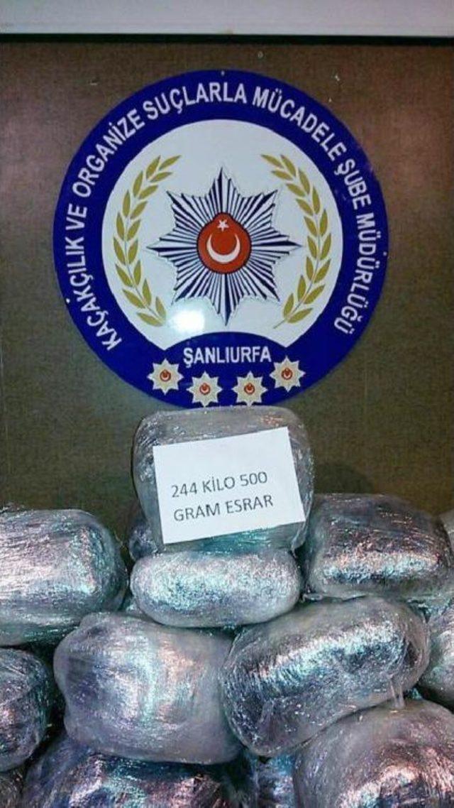 Şanlıurfa’Da 262 Kilo Esrar, 18 Gözaltı