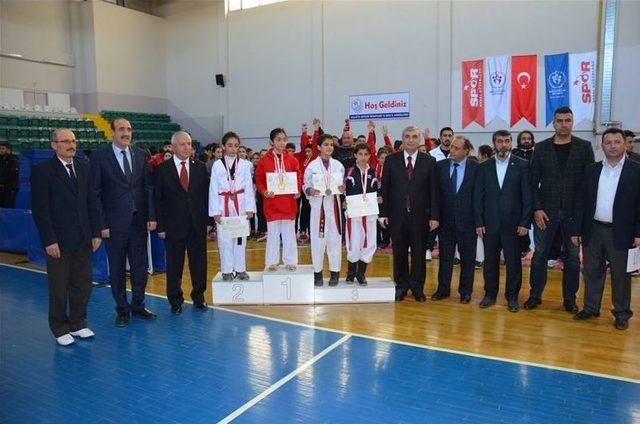 Analig Taekwondo Yarı Final Müsabakaları Başladı