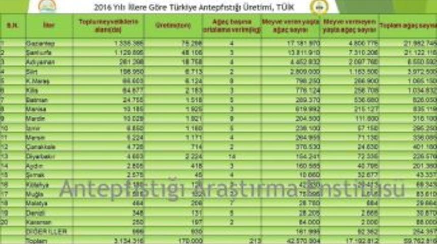 Antep Fıstığını En &Ccedil;ok Yetiştiren İl Gaziantep, En Verimli Yer Diyarbakır