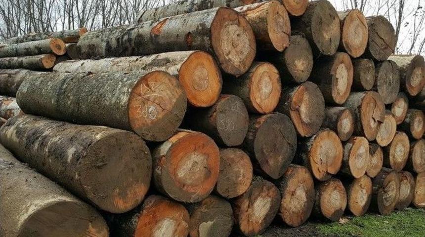 3 Bin 235 Metrek&uuml;p Orman Emvali Satıldı