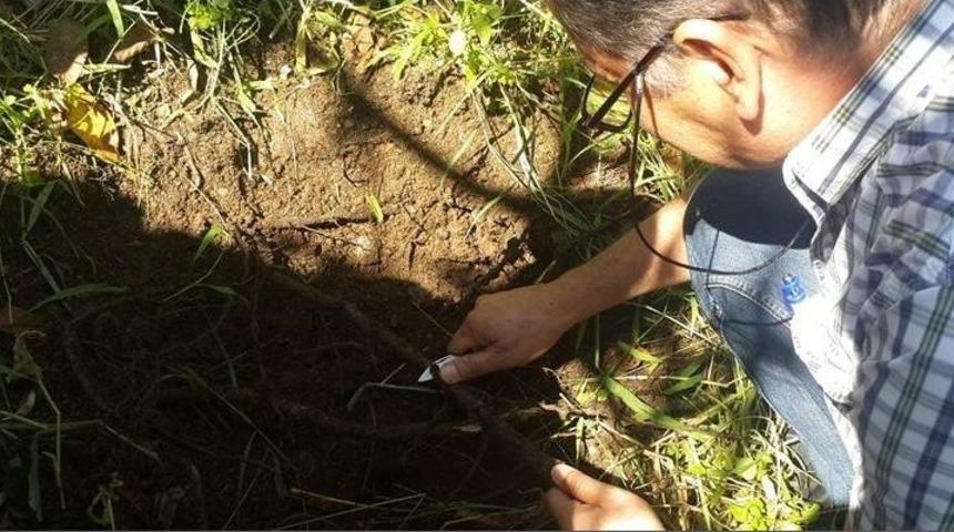 &Ccedil;ine&rsquo;de Ceviz &Uuml;reticilerine Eğitim