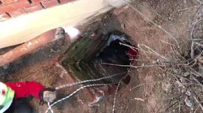 3 Metrelik Kuyuya D&uuml;şen Yavru K&ouml;peği Akut Ekibi 1 Saatte Kurtardı