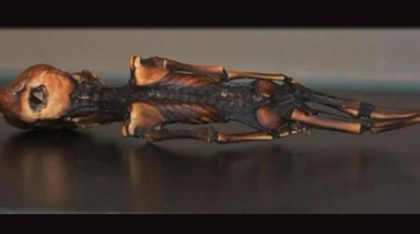 G&ouml;renleri hayrete d&uuml;ş&uuml;rd&uuml;!