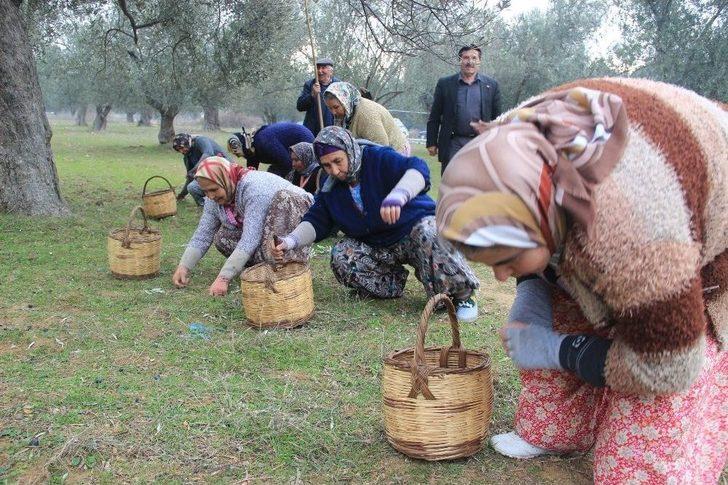 İşçiler Kahya Ve Karısını Ağaca Bağladı G2