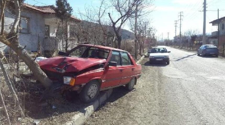 Elektrikli Bisiklete &Ccedil;arpmamak I&ccedil;in Ağaca &Ccedil;arpan S&uuml;r&uuml;c&uuml; Yaralandı