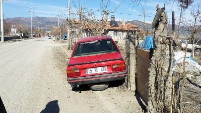 Elektrikli Bisiklete Çarpmamak Için Ağaca Çarpan Sürücü Yaralandı