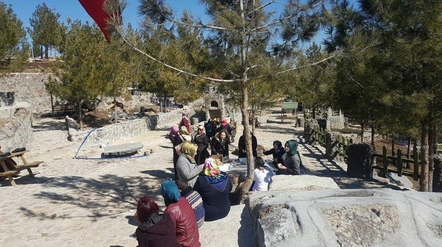 &Uuml;niversite &Ouml;ğrencileri Mesire Alanını Gezdi