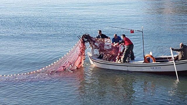 Yunustan’dan Kaçan Kefaller, Amasralı Balıkçıları Sevindirdi