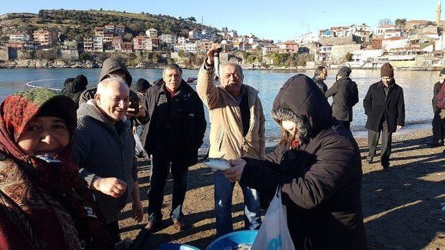 Yunustan’dan Kaçan Kefaller, Amasralı Balıkçıları Sevindirdi