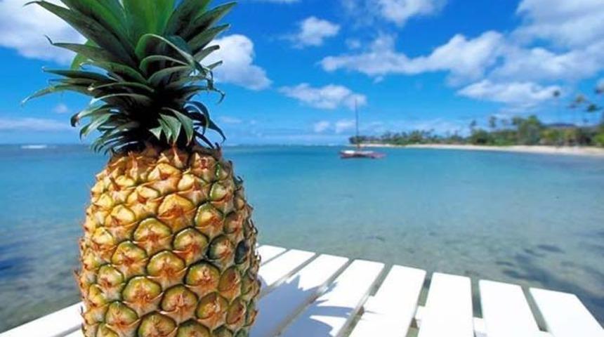 Ananas suyunun faydası