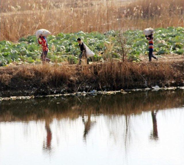 Suriyeli Çocukların Yürek Burkan "odun" Mutluluğu 1