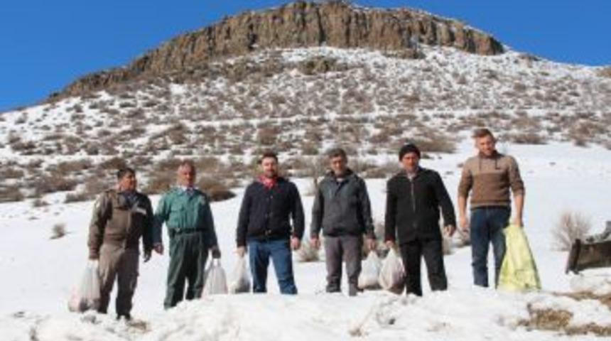 Aile Hekiminin Doğa Sevgisi