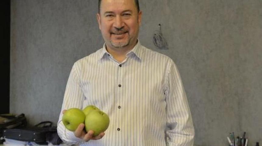 T&uuml;rkiye'de Yılda 500 Bin Ton Elma &Ccedil;&ouml;pe Gidiyor