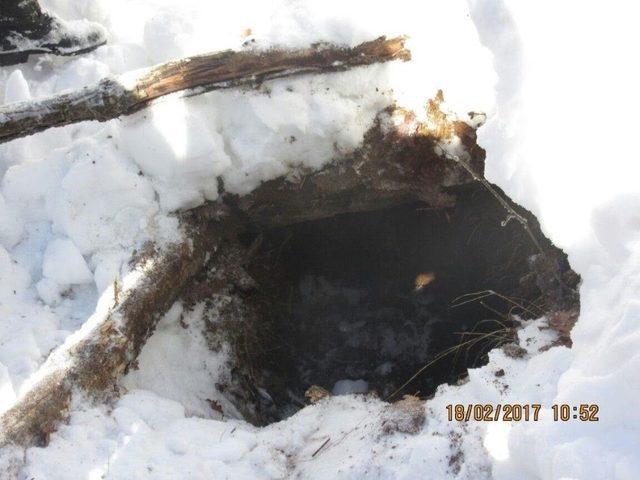 Bing&ouml;l&rsquo;de Pkk Sığınağı İmha Edildi 1