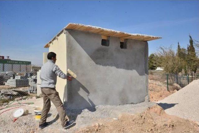 Garipler Mezarlığının Gönüllü Bakıcısı