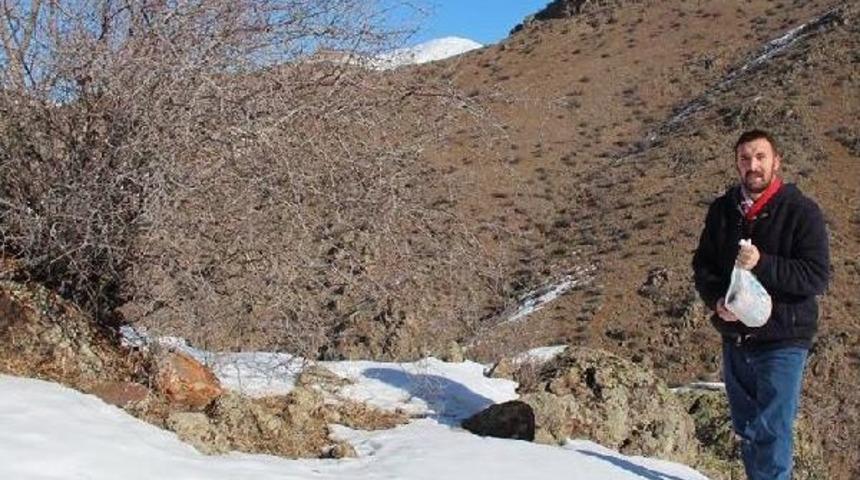 Aile Hekiminin Doğa Sevgisi