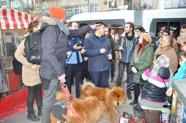 Romanyalı Kız Kardeşlerin Müziklerinden Çok Köpekleri Beks İlgi Görüyor