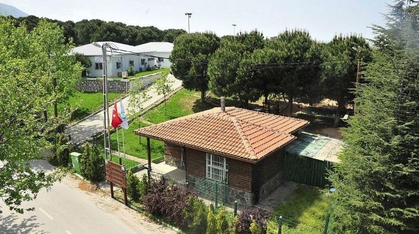 Hayvan Bakım Evi Ve Tedavi Merkezi&rsquo;nin Kapasitesi Y&uuml;zde 75 Arttırıldı