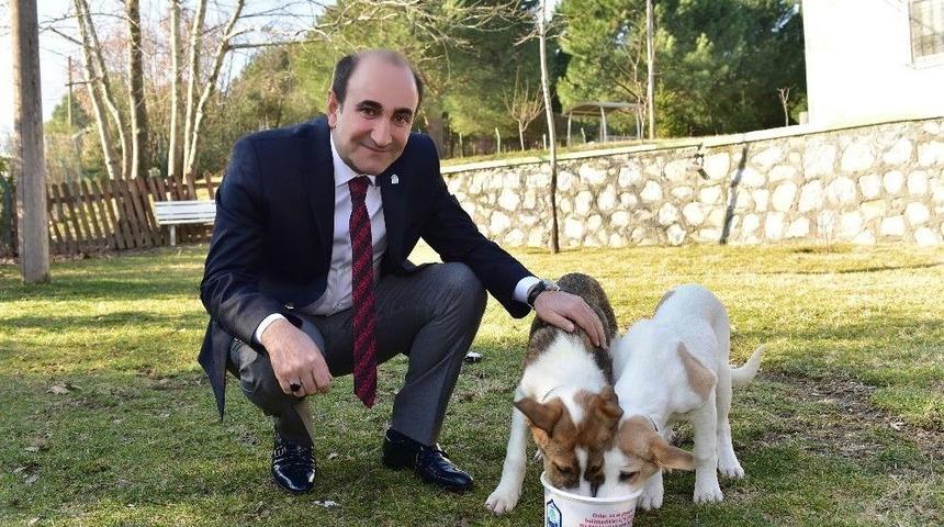 Yıldırım&rsquo;da Sokak Hayvanlarına Bir Kap Mutluluk