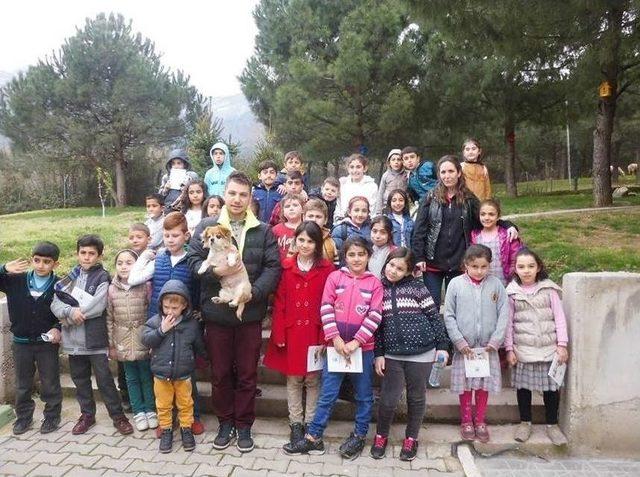 Hayvan Bakım Evi Ve Tedavi Merkezi’nin Kapasitesi Yüzde 75 Arttırıldı