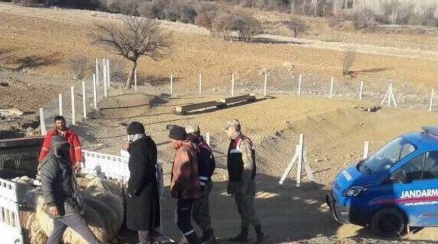 Elazığ&rsquo;da Koyun &Ccedil;alan Hırsızlar Yakalandı