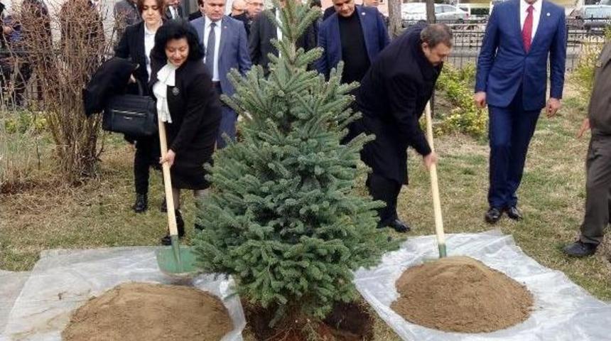Bakan Eroğlu: Chp'li Kardeşlerimizi 'evet' Vermeleri I&ccedil;in Ikna Edeceğiz