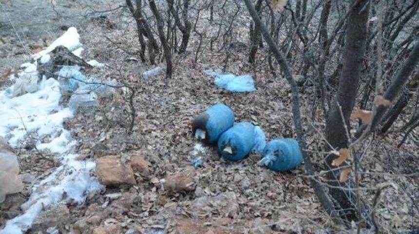 Tunceli'de Pkk'nın Tuzakladığı150 Kiloluk Patlayıcı Imha Edildi