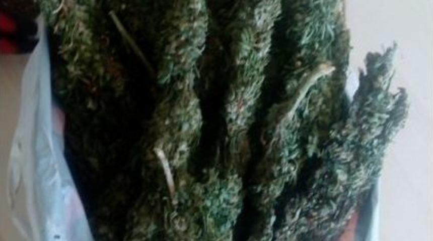 G&uuml;vercin K&uuml;mesine Uyuşturucu Operasyonu