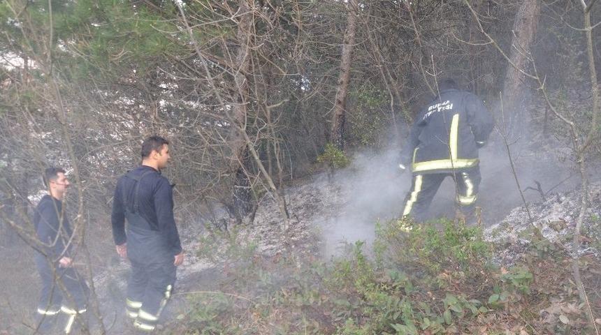 Bursa&rsquo;da Orman Yangını