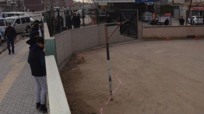 (&ouml;zel Haber ) Bursa&rsquo;da 5 &Ccedil;ocuk Pitbull Korkusu Y&uuml;z&uuml;nden Okulun Balkonuna Tırmandı