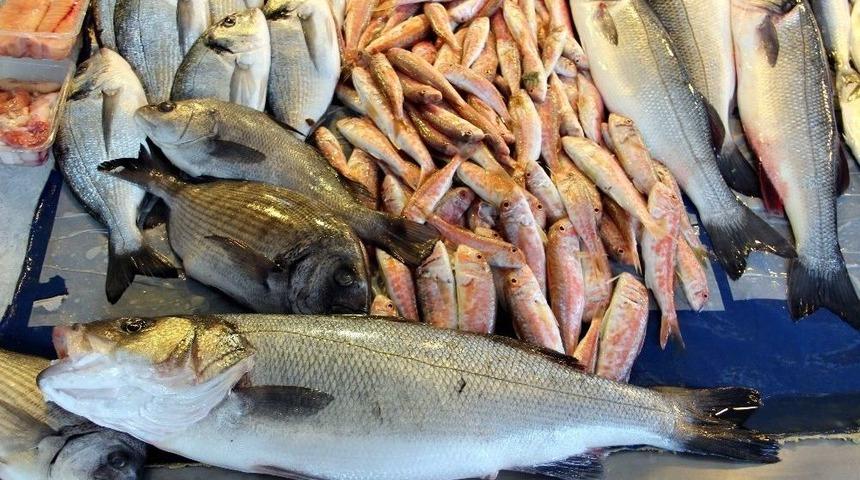 Omega3 En &Ccedil;ok T&uuml;rk Balıklarında