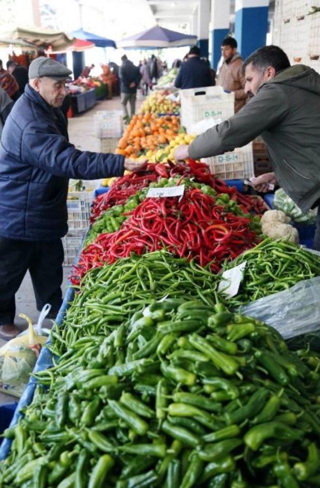 Biberin Şeklini Hormon Değil Isı Farkı Bozdu