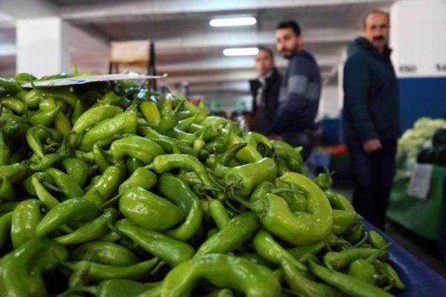 Biberin Şeklini Hormon Değil Isı Farkı Bozdu