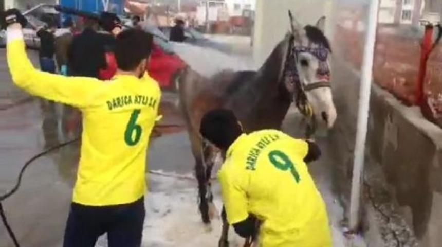 Atı Otomobil Gibi Yıkadılar