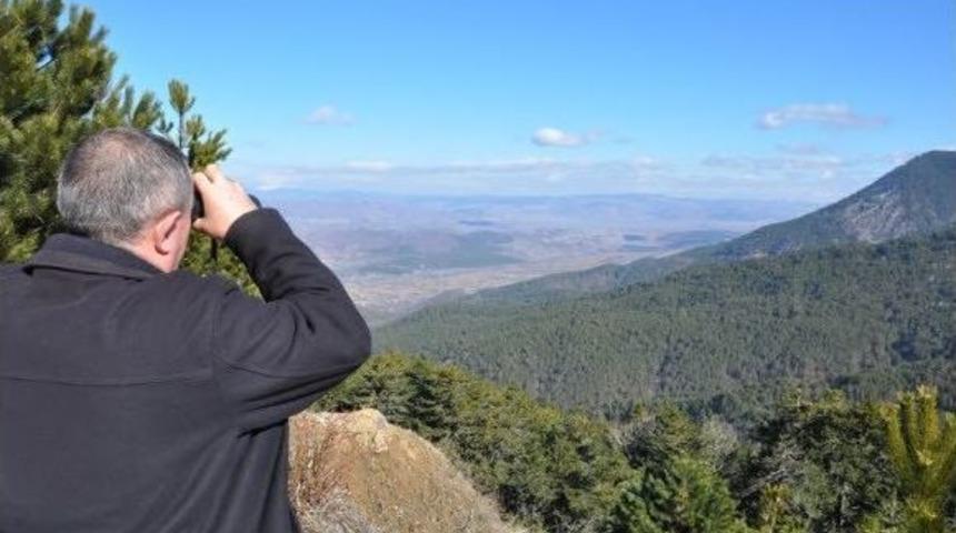 Emekli Eğitimciden &Ccedil;evre İncelemesi