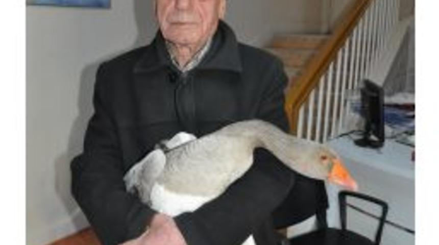 Sokakta Bulduğu Kazın Sahibini Arıyor