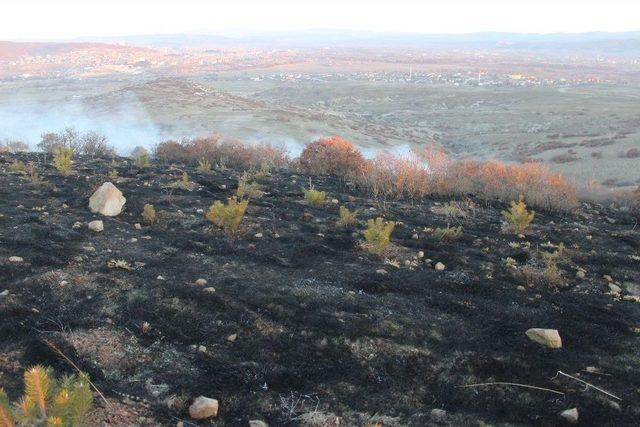 Tavşanlı’da Orman Yangını 1