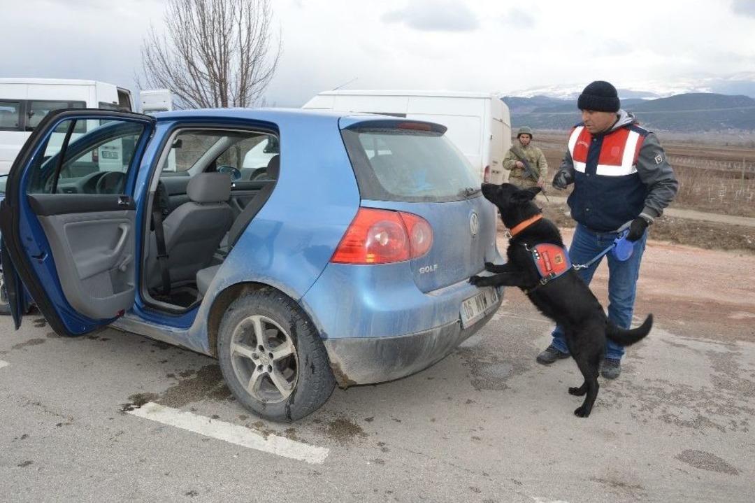 Jandarma Narkotik K&ouml;pekleriyle Uygulama Yaptı