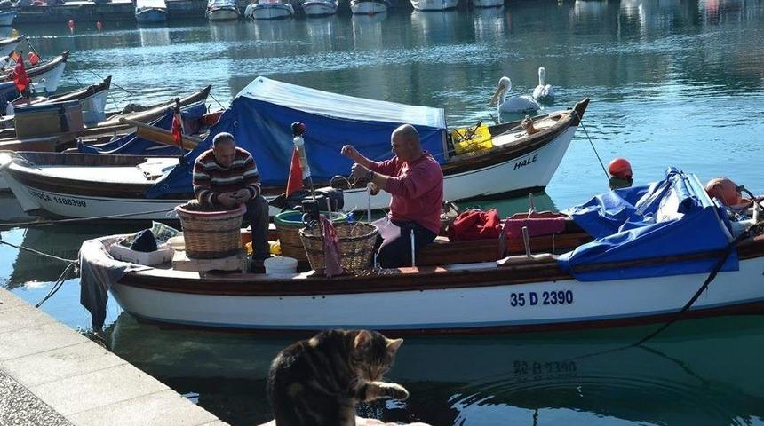 Fo&ccedil;a Belediyesi Deniz &Ouml;yk&uuml;leri Yarışması Başlıyor