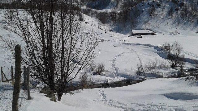 Bingöl’de 1,5 Ton Amonyum Nitrat Ele Geçirildi