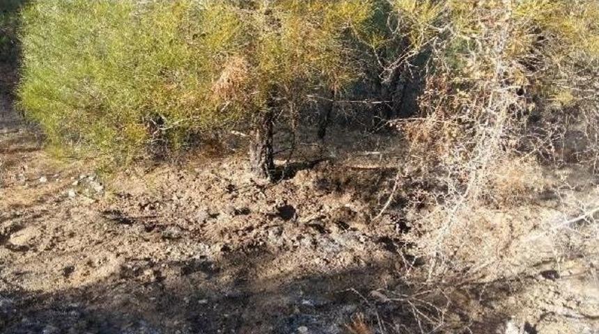 4 G&uuml;nden Ormanı Yakmaye &Ccedil;alışan Ş&uuml;pheli Yakalandı