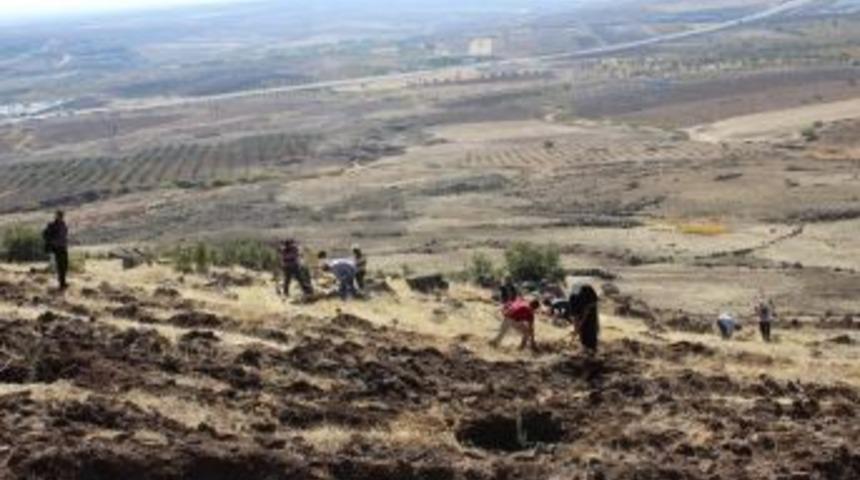 Gelir Getirici T&uuml;r Kapsamında 7 Bin Badem Dikildi