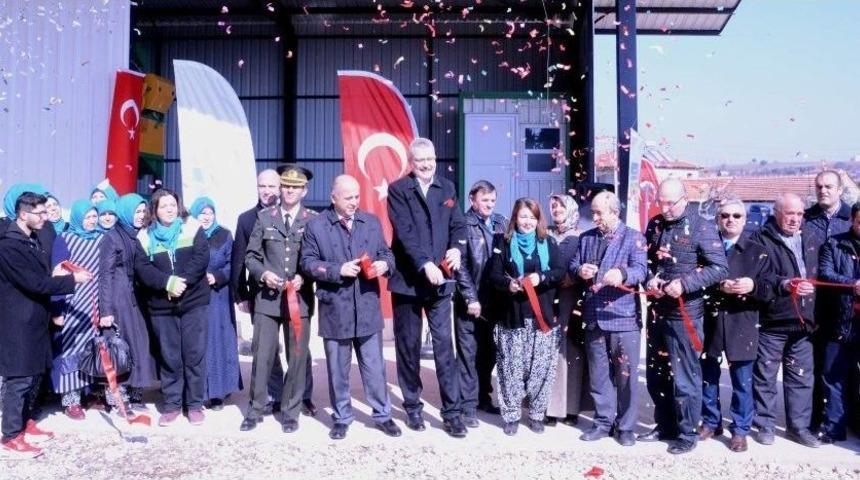 Karacabey&rsquo;de Yeni Zeytin Toplama Merkezi Kuruldu