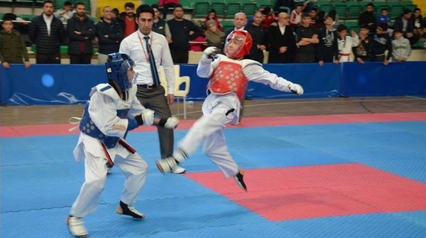 Analig Tekvando Yarı Final M&uuml;sabakaları Sona Erdi