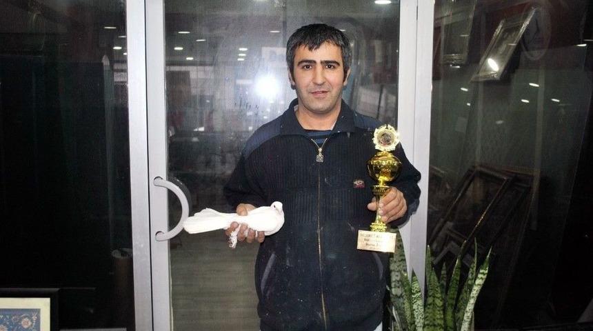 Taklacı G&uuml;vercinle &Ouml;d&uuml;l Kazandı