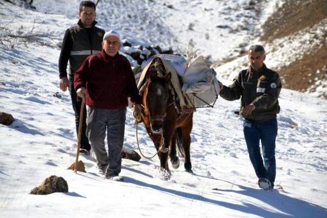 Yaban Hayvanları Için Kasaptan Et Alıp, Doğaya Bıraktılar