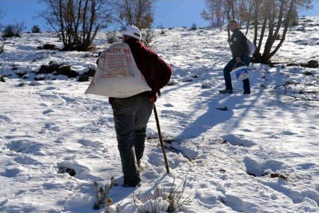 Yaban Hayvanları Için Kasaptan Et Alıp, Doğaya Bıraktılar