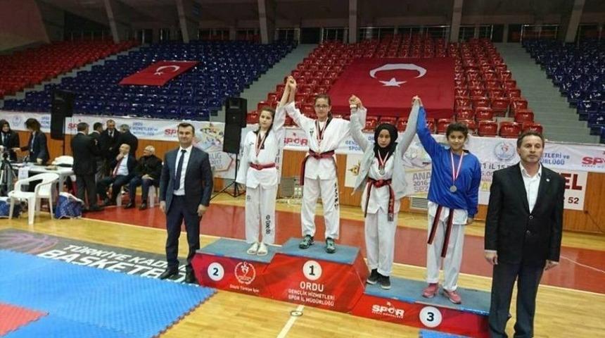 Fatsalı Aleyna’nın Tekvando Başarısı