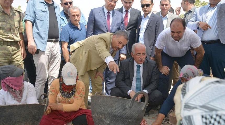 Birecik&rsquo;ten &ldquo;fıstık&rdquo; &Ccedil;ıkışı