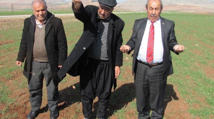 Arabanlı &Ccedil;ift&ccedil;ilerin Kuraklık Endişesi